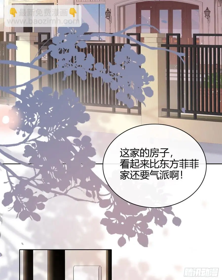 绿茶终结者17