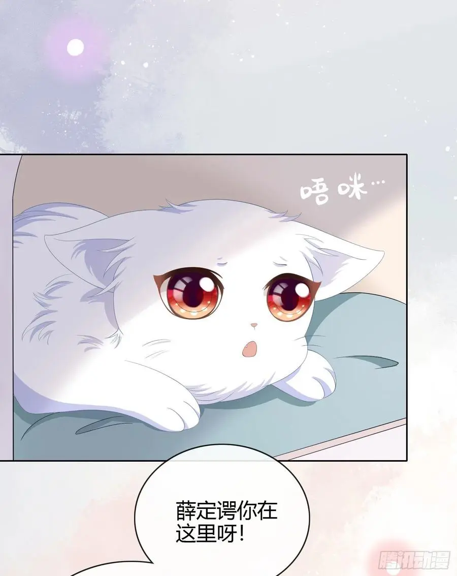绿茶终结者33