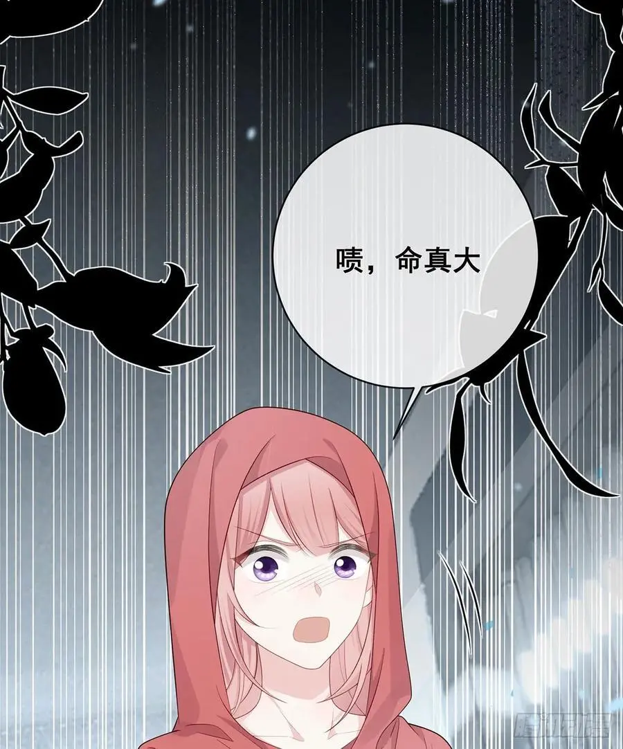 悲剧重演65
