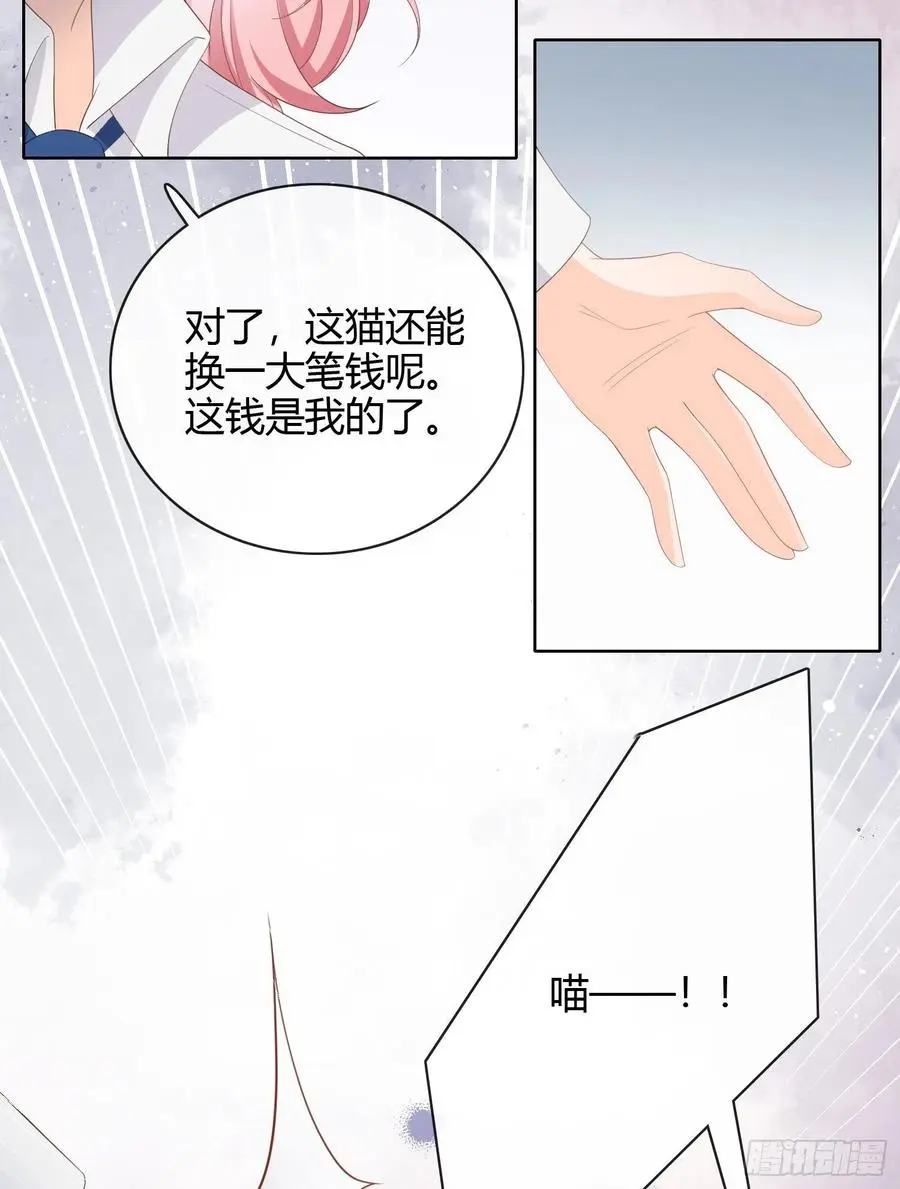绿茶终结者11