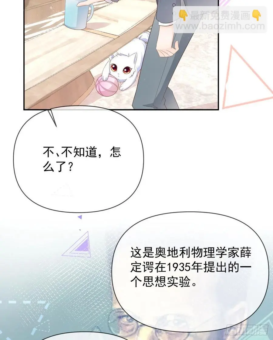薛定谔的猫20