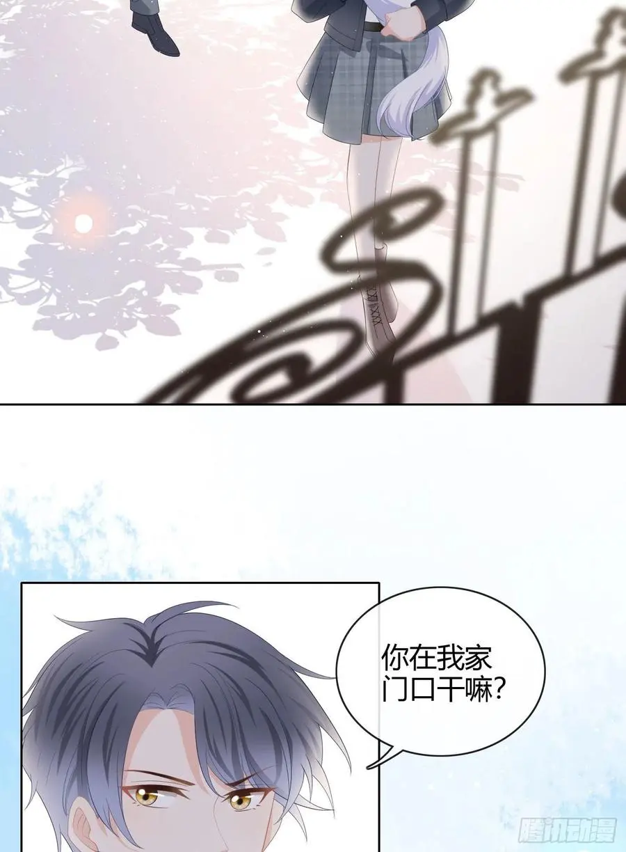 绿茶终结者40