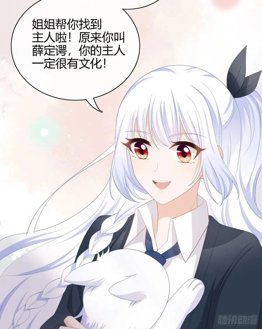 绿茶终结者34