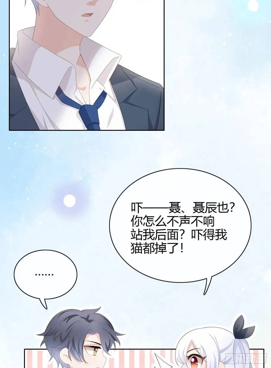 绿茶终结者41
