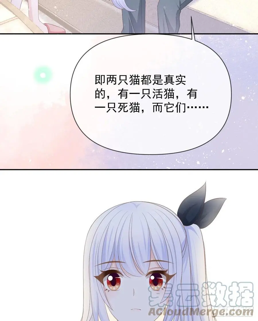 薛定谔的猫27