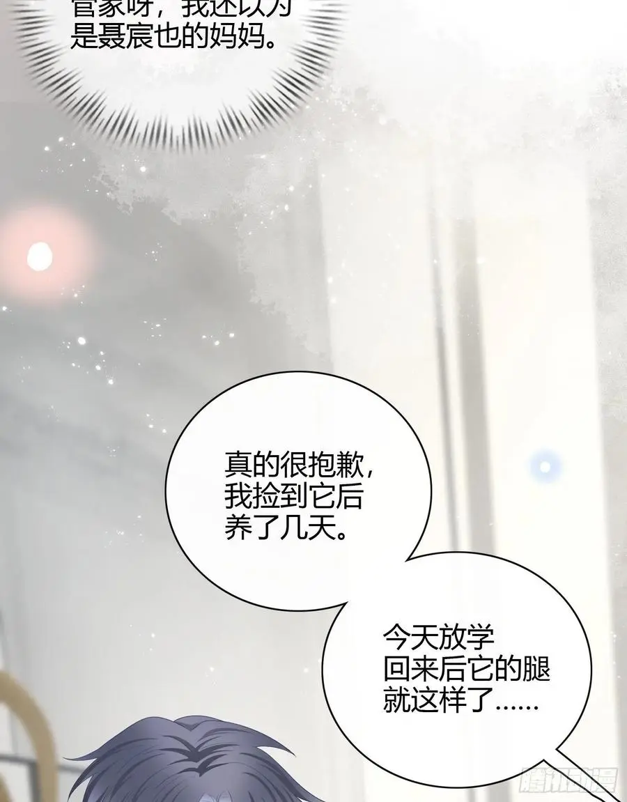 幸福来得太突然了11
