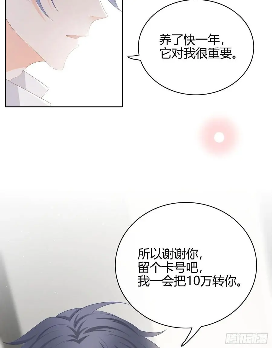 幸福来得太突然了14