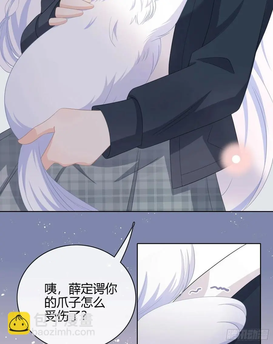绿茶终结者35
