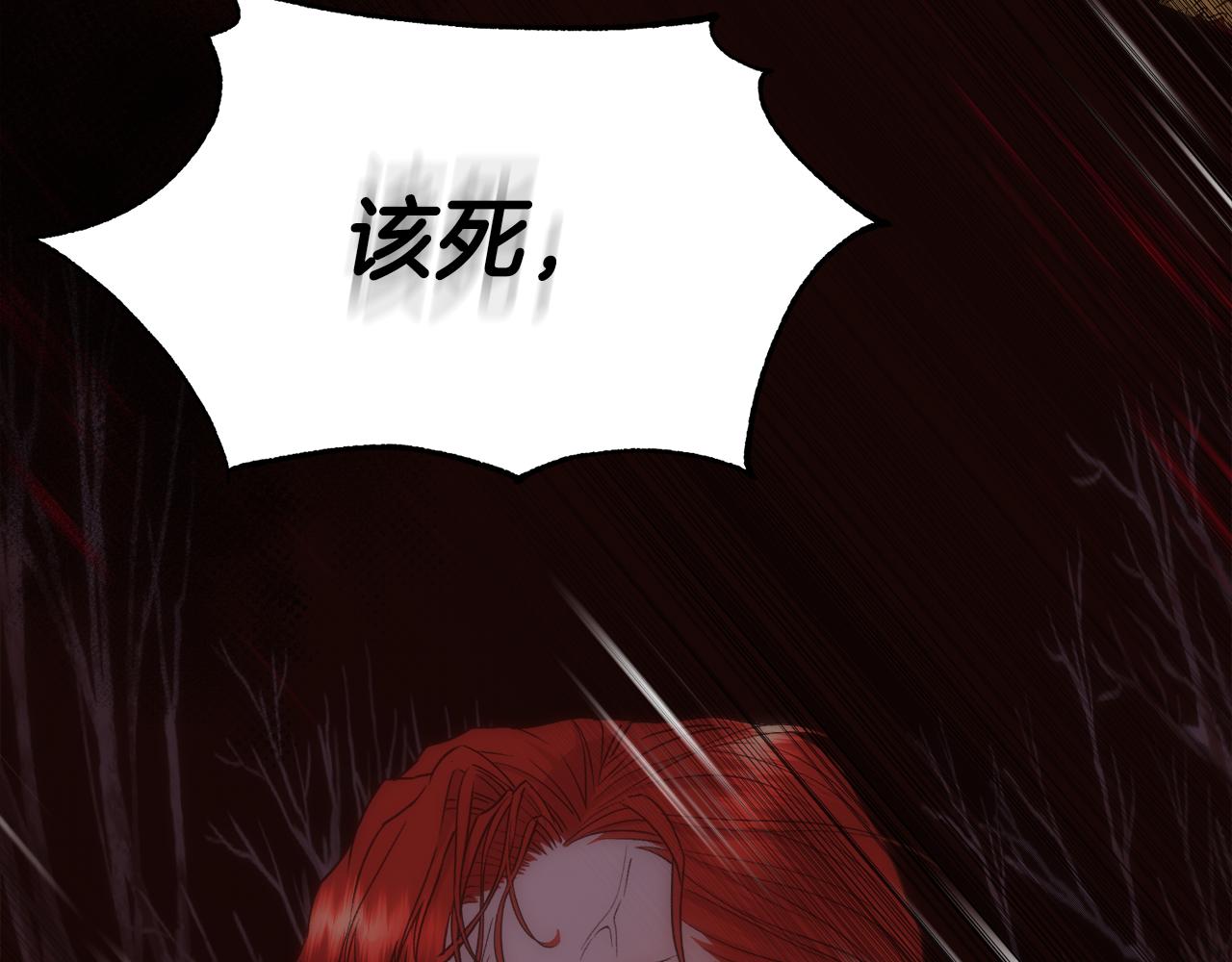 第62话 我大约是疯了107