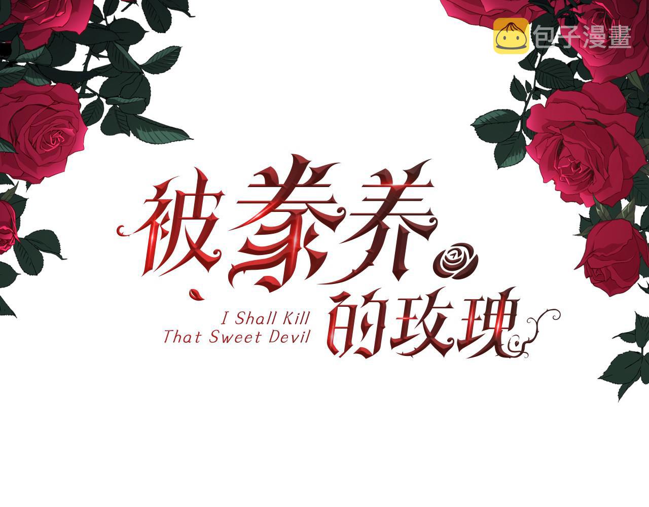 第44话 被宠爱的日子2