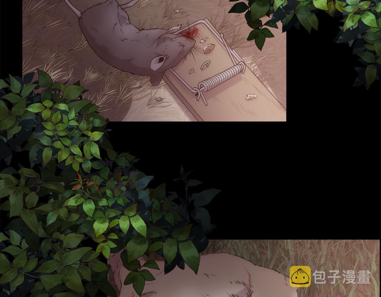 第56话 理想型54