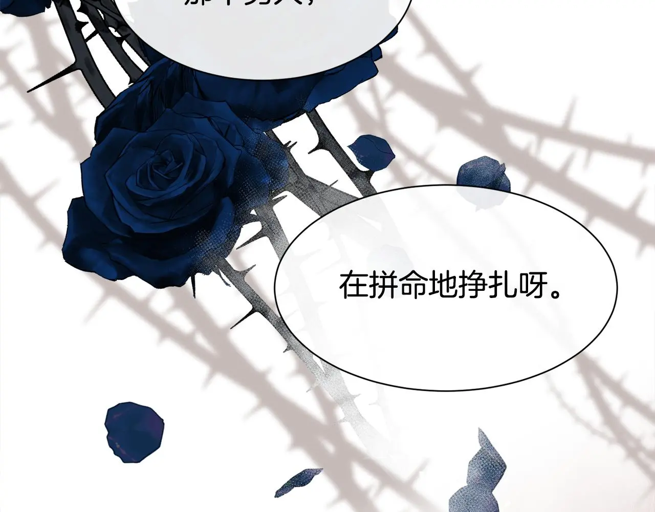 第73话 你觉得我哥哥怎么样？7
