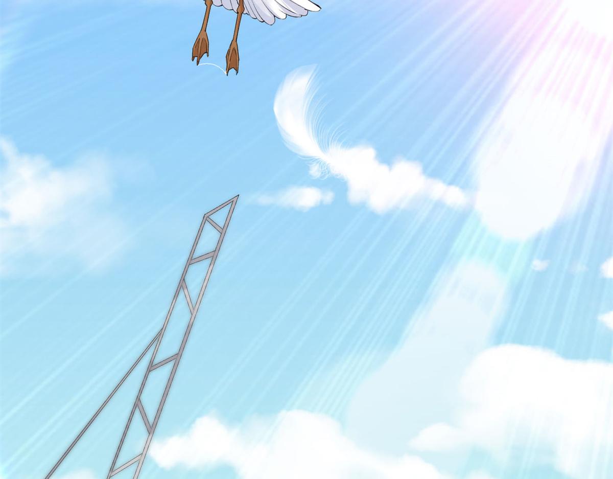 预告5
