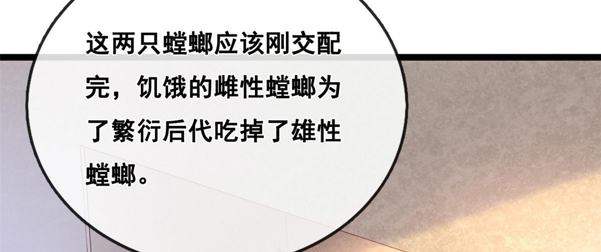 50 爱情小镇71