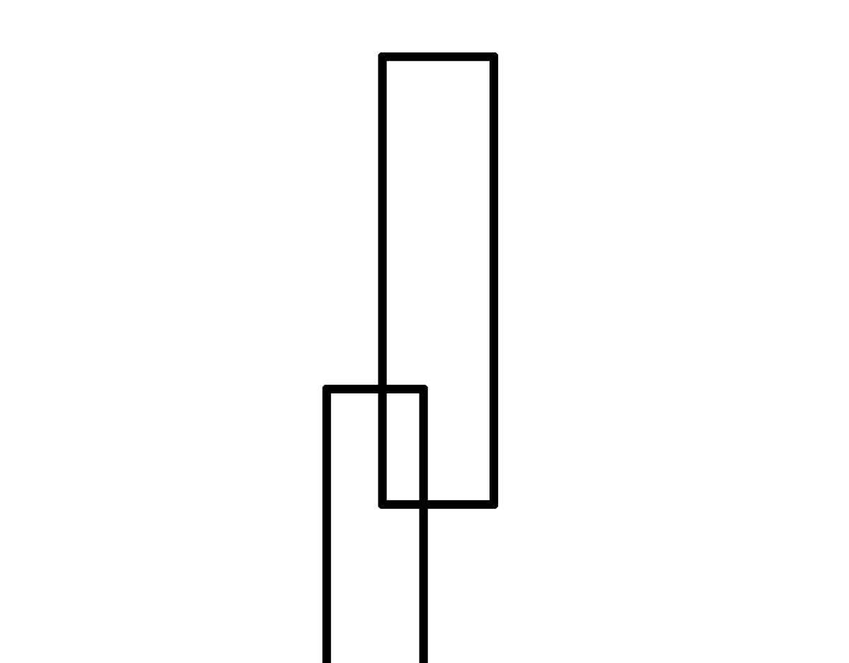 42 鱿鱼小实验4