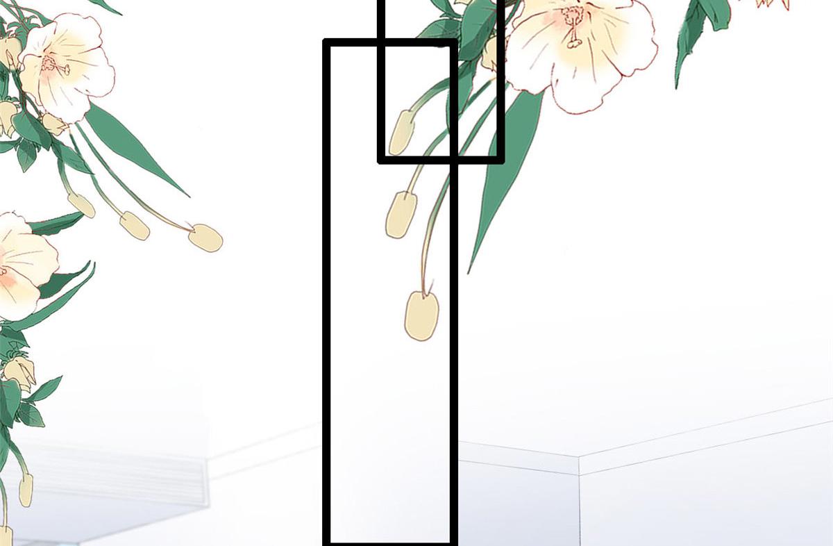 51 追求者出现18