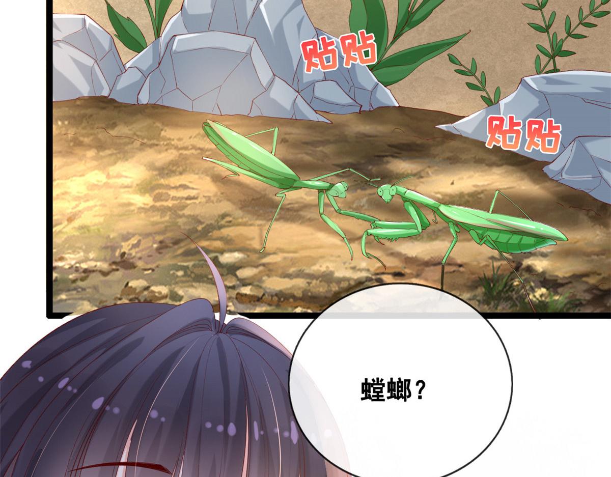 50 爱情小镇64