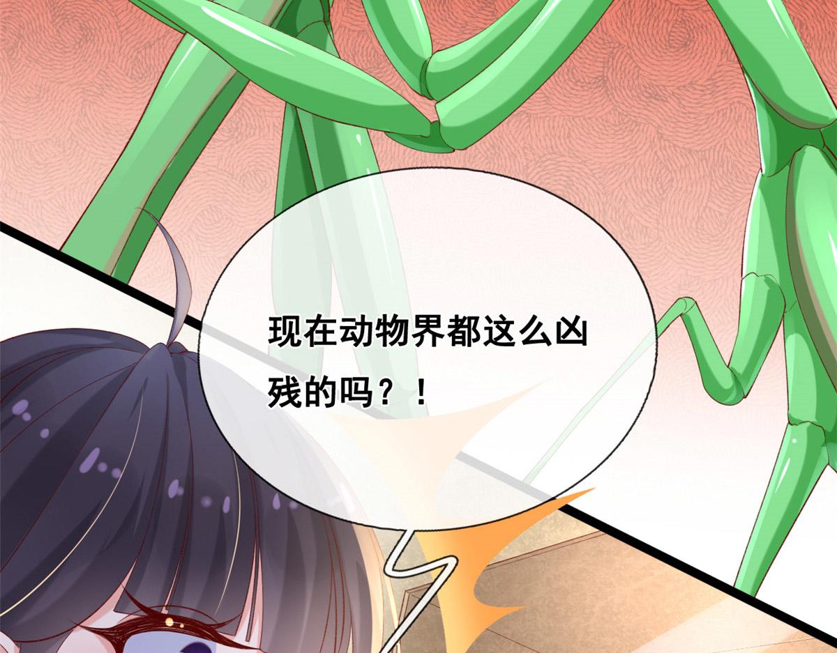 50 爱情小镇69