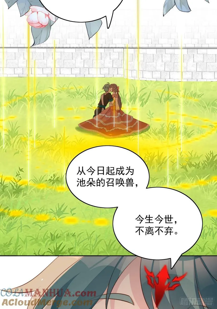 第133话 灵宠契约12