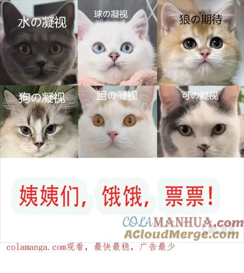 224 第两百一十三话回到游戏世界32