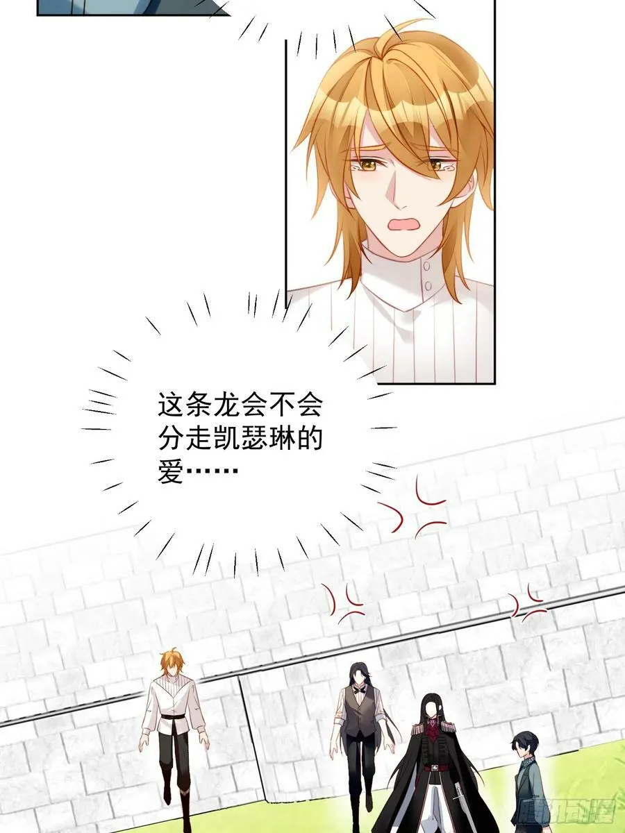 第133话 灵宠契约15