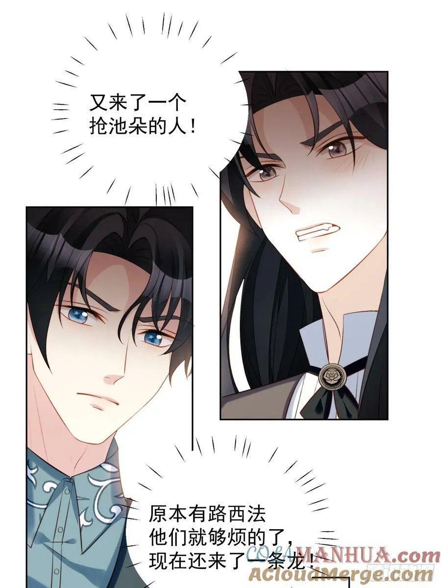 第133话 灵宠契约14