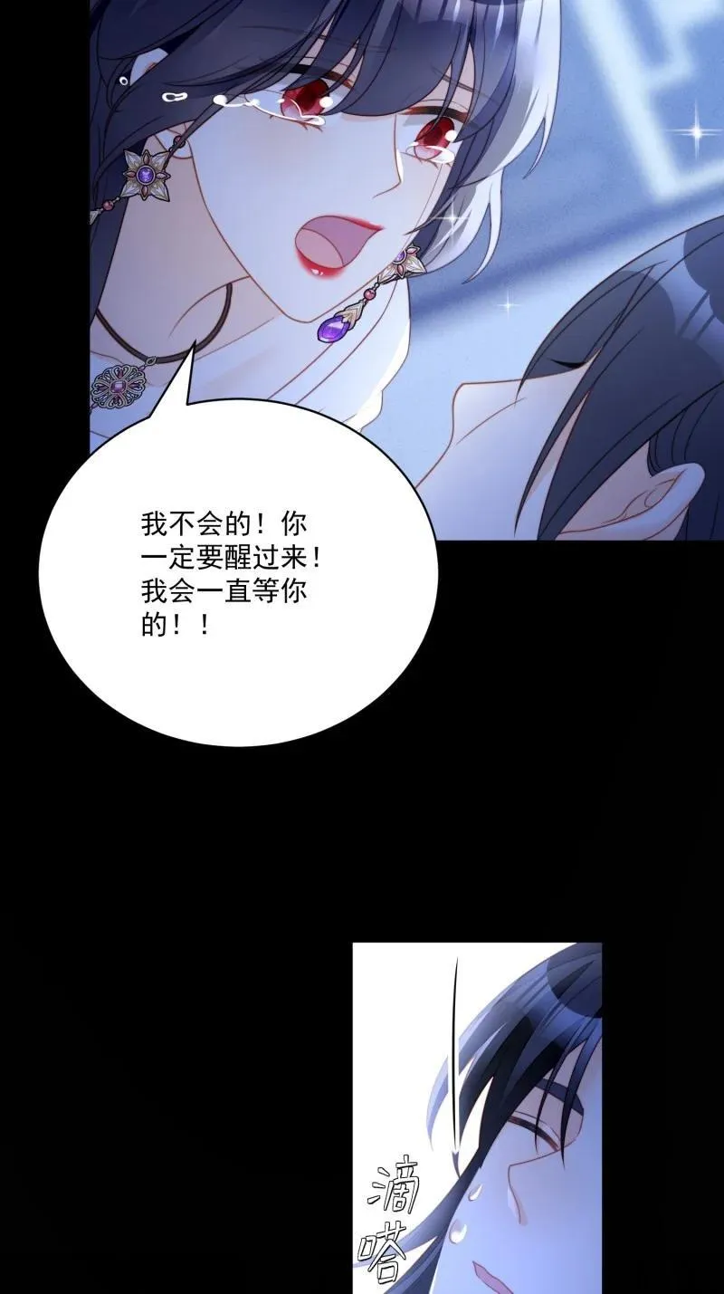 231 第二百一十九话大结局（上）27