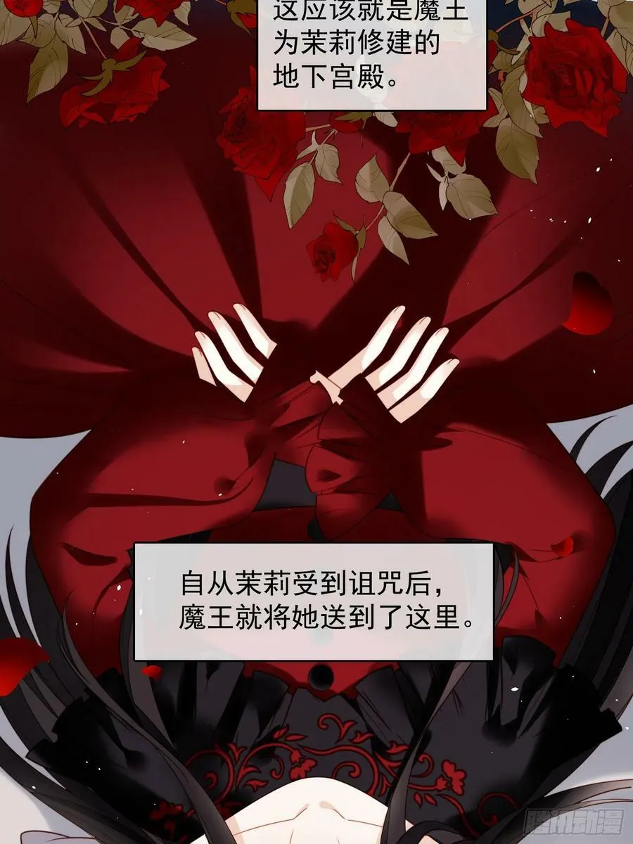 第133话 灵宠契约19