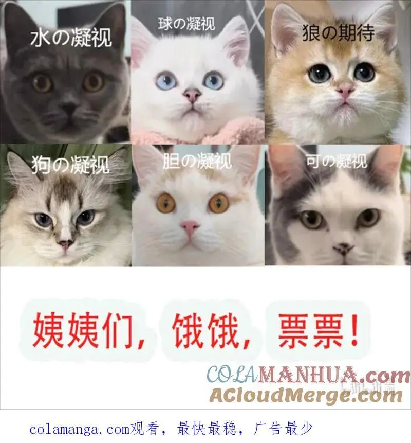 222 第两百一十话被绑架了，危险30