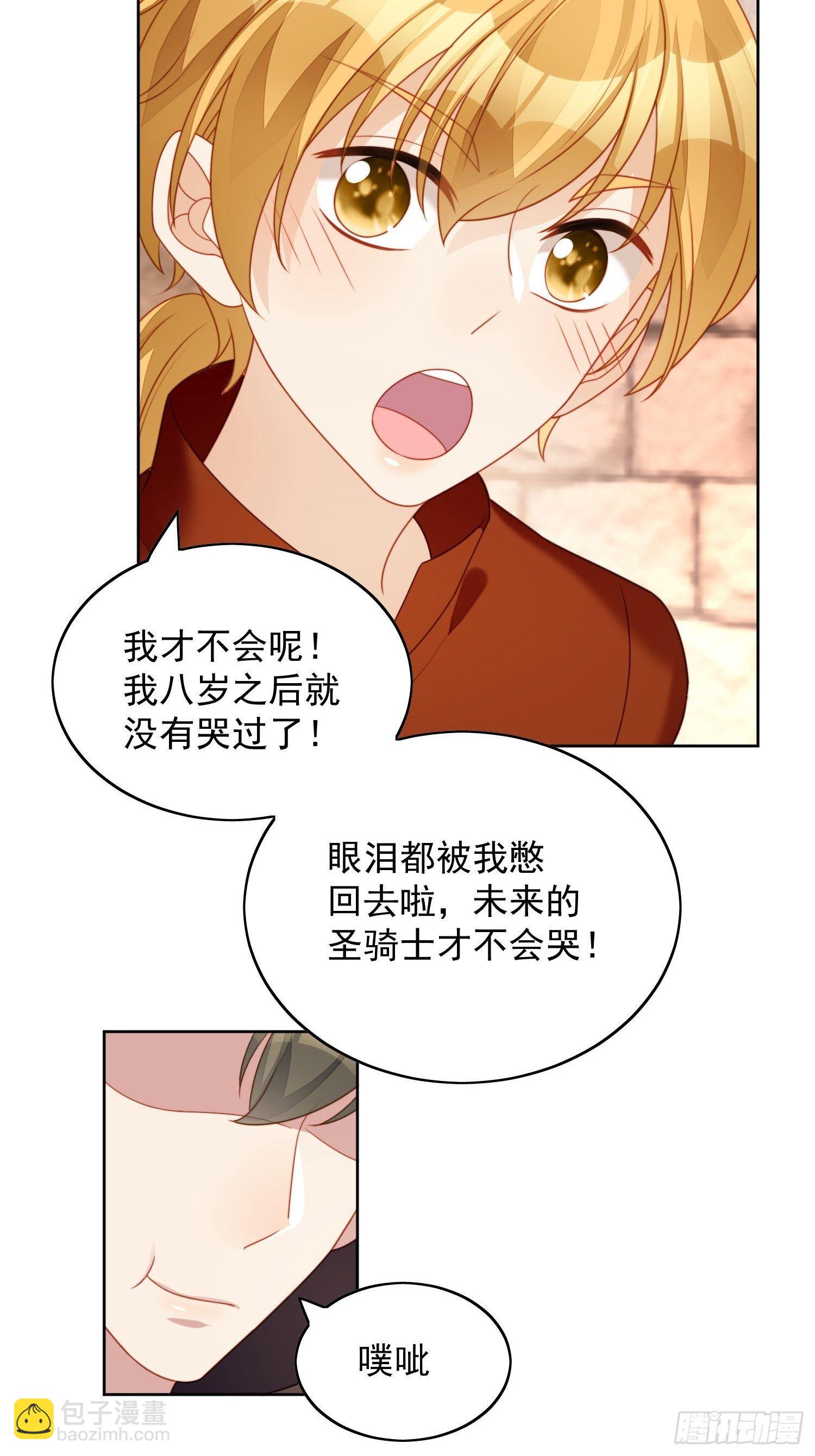 第35话 骑士的往事9