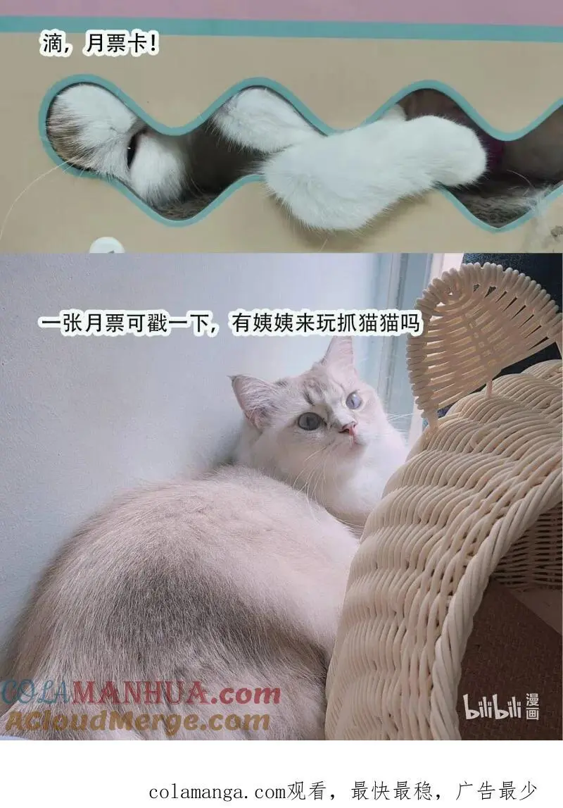 223 第两百一十二话我的爱人32