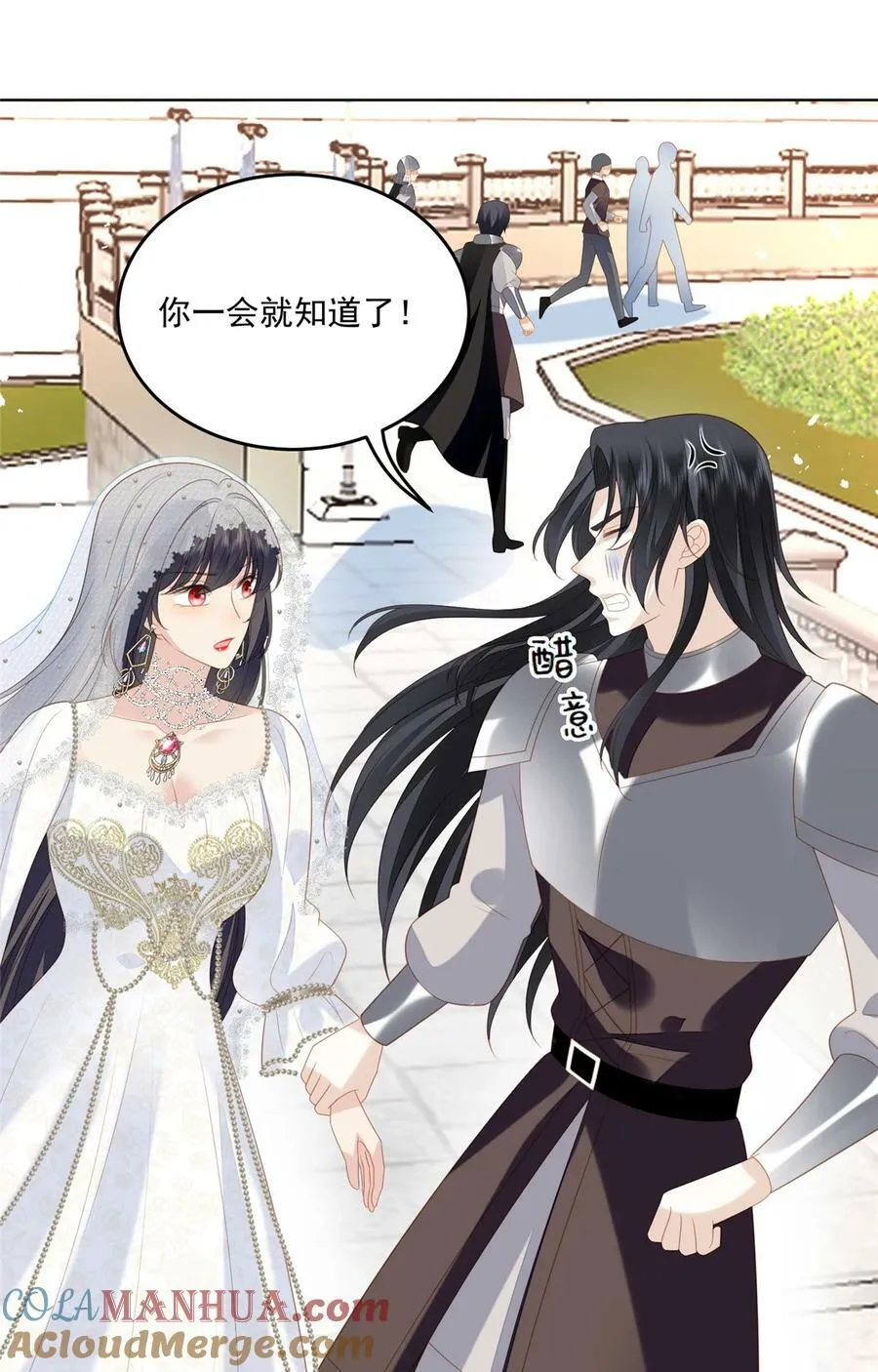 第173话 抢亲20