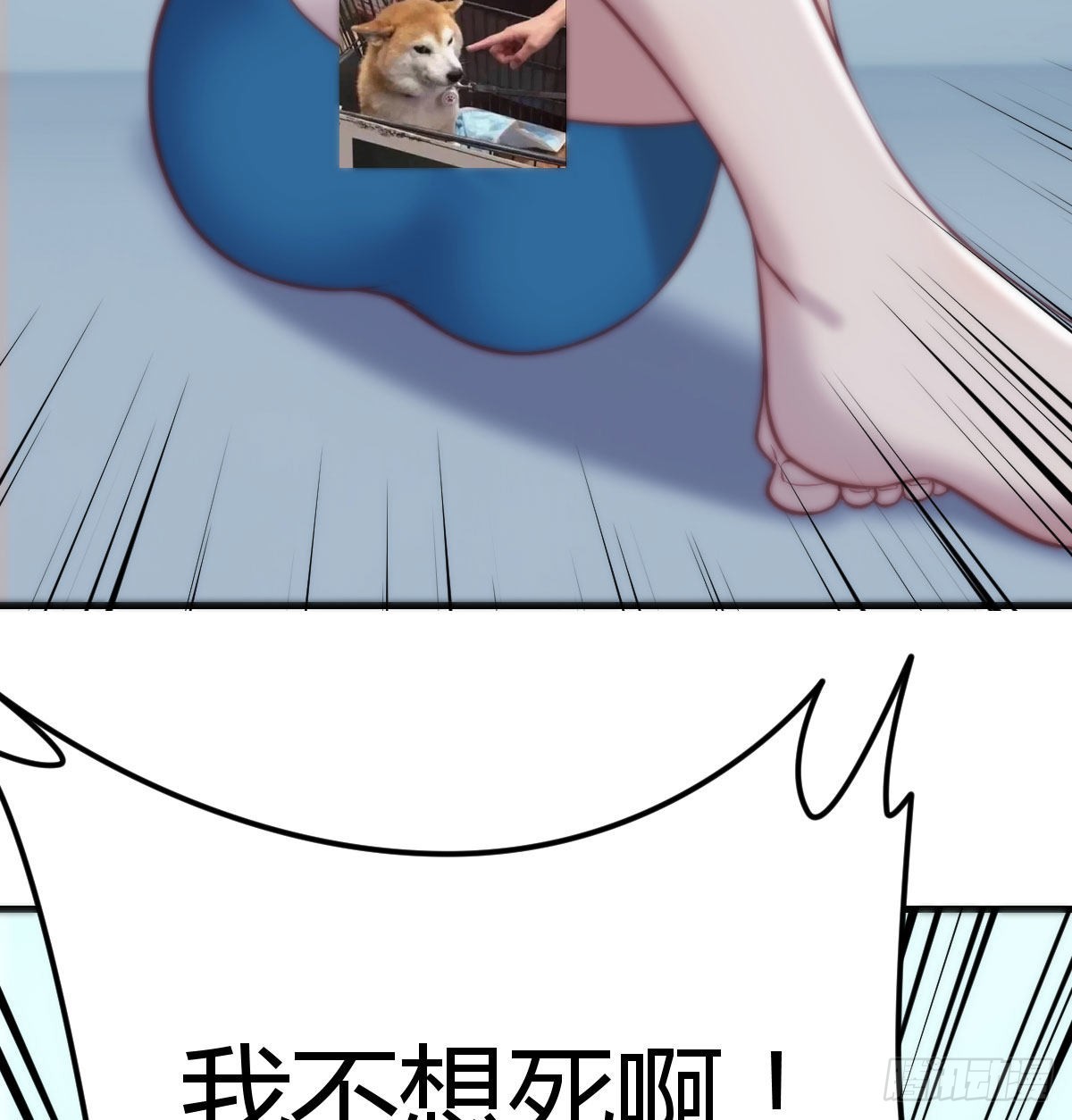 守护的信念68