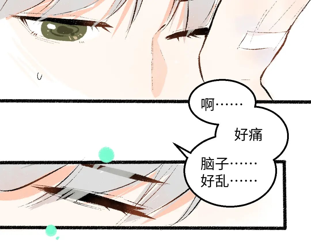 完结话 Net——傲白78