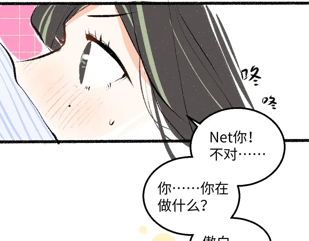 完结话 Net——傲白91