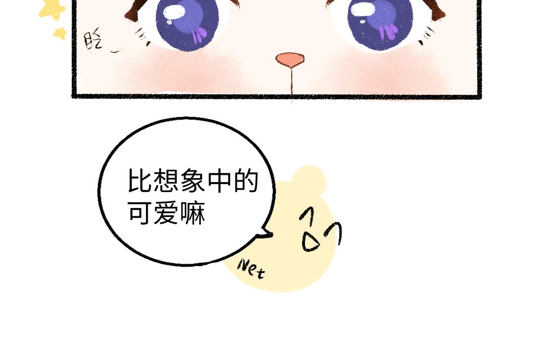 第11话 过于在意63