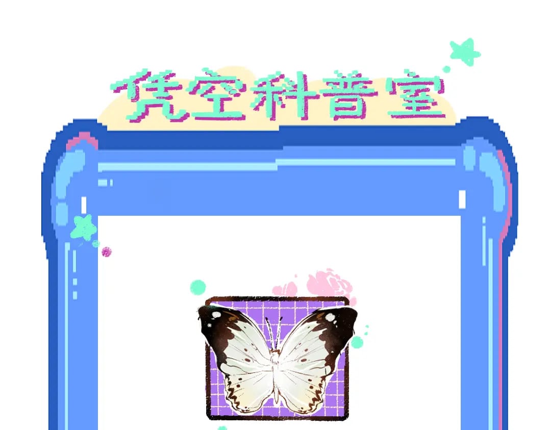 完结话 Net——傲白139