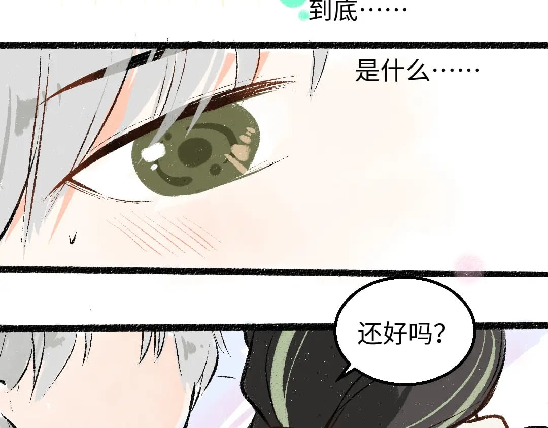 完结话 Net——傲白87