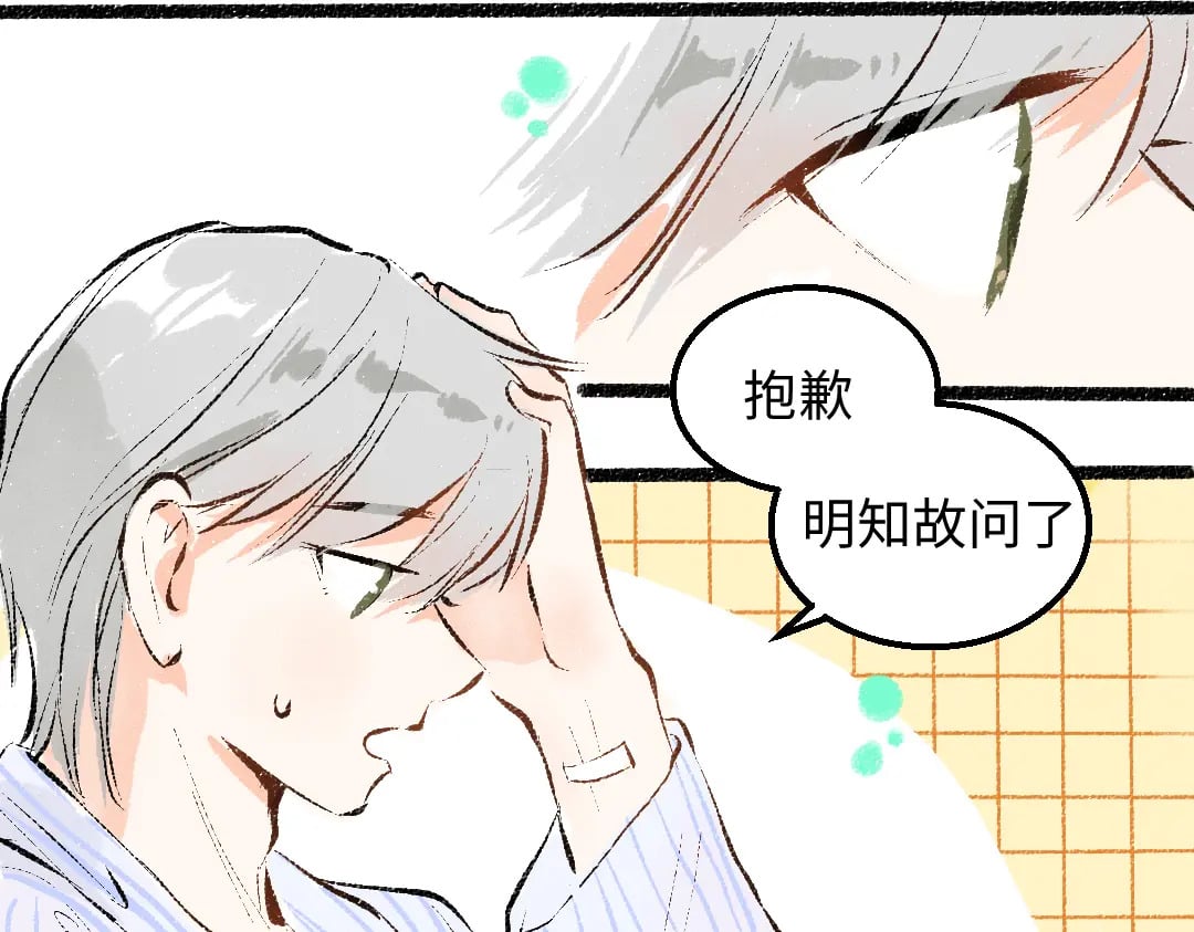 完结话 Net——傲白66