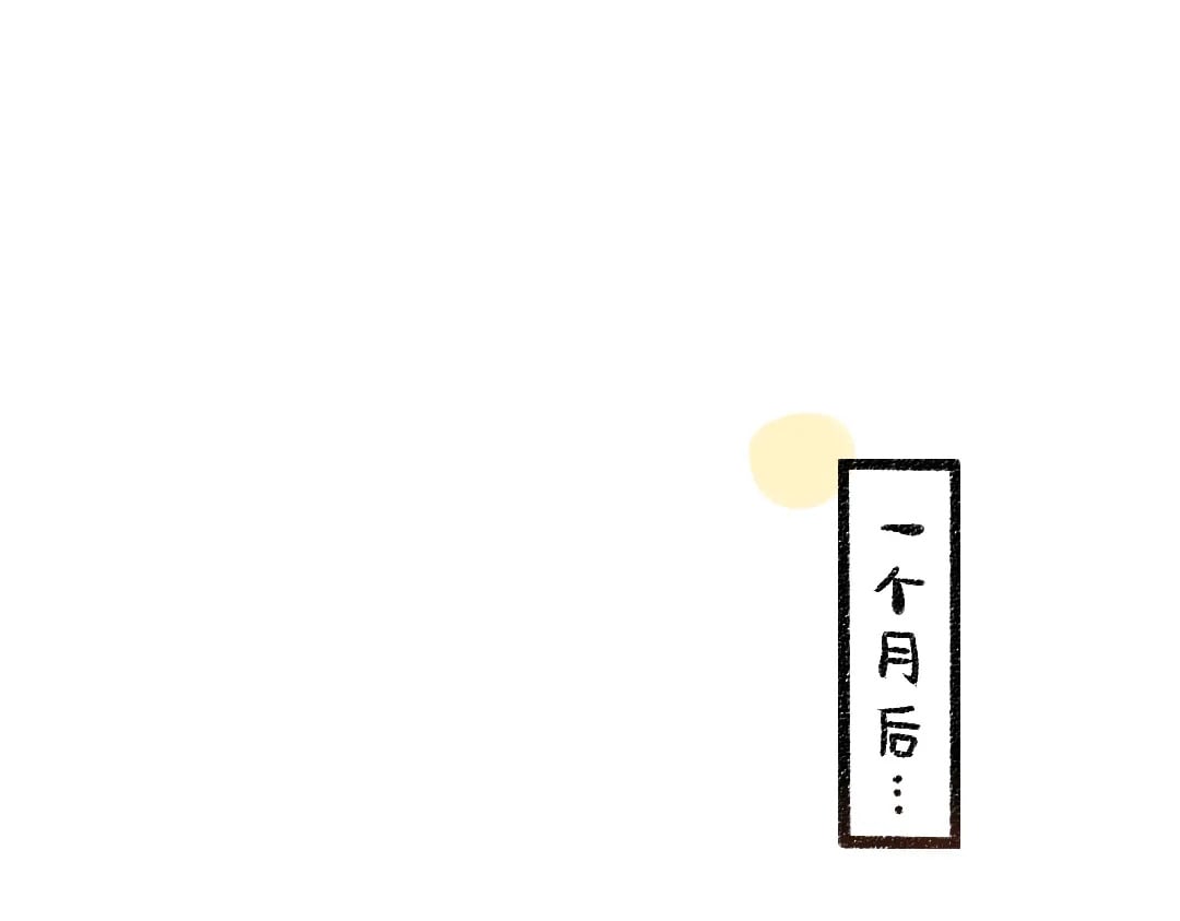 完结话 Net——傲白4