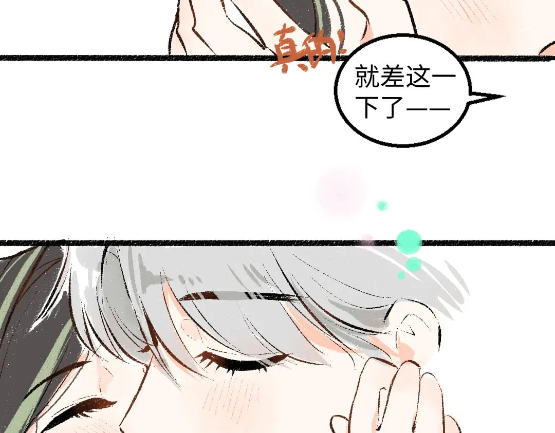 完结话 Net——傲白132
