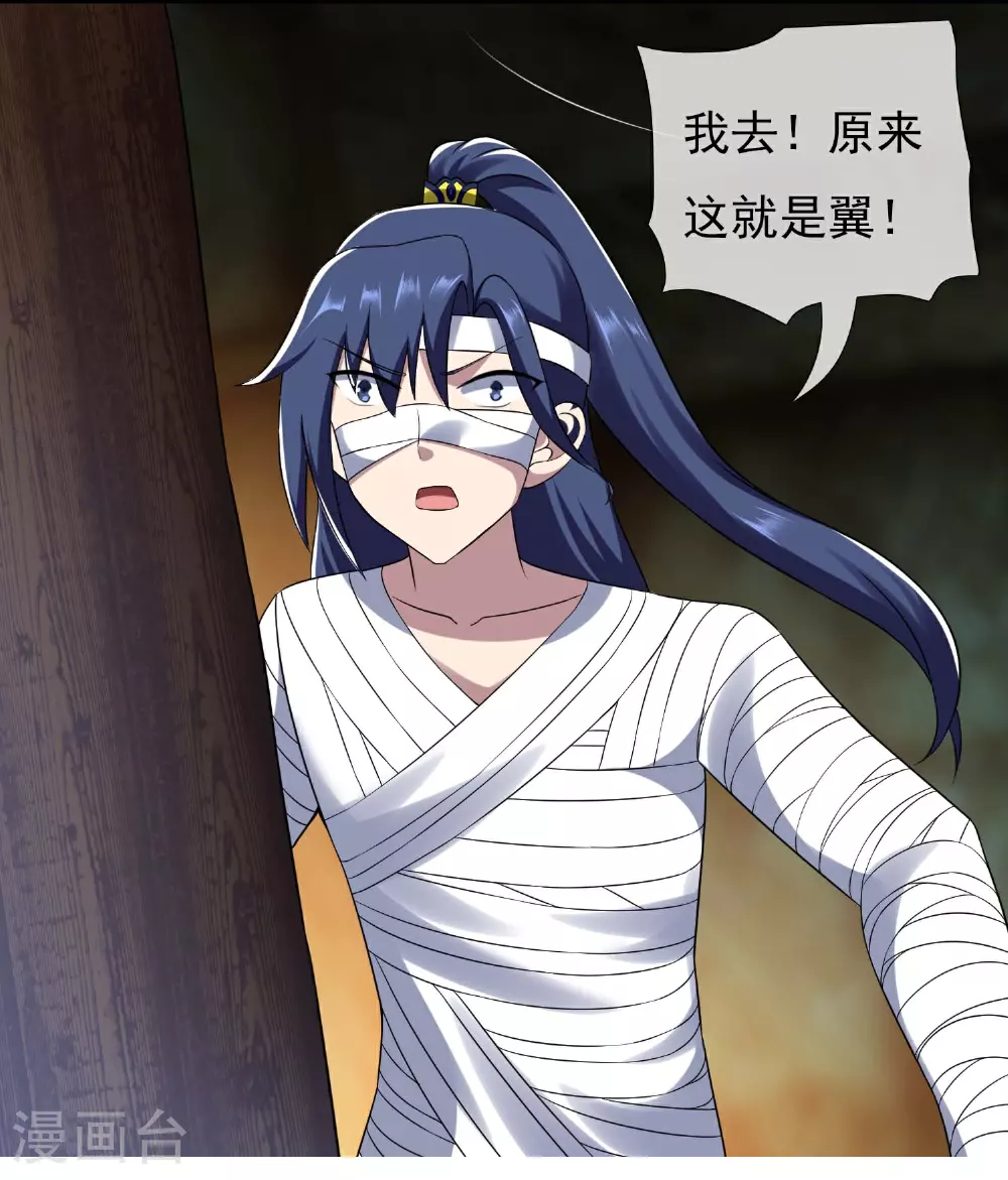 第109话 复仇之翼3