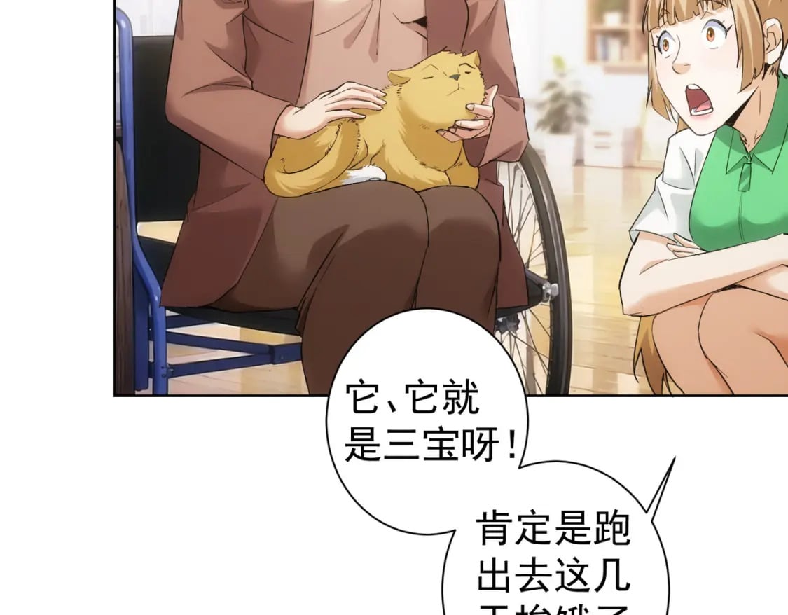 第333话 碰瓷9