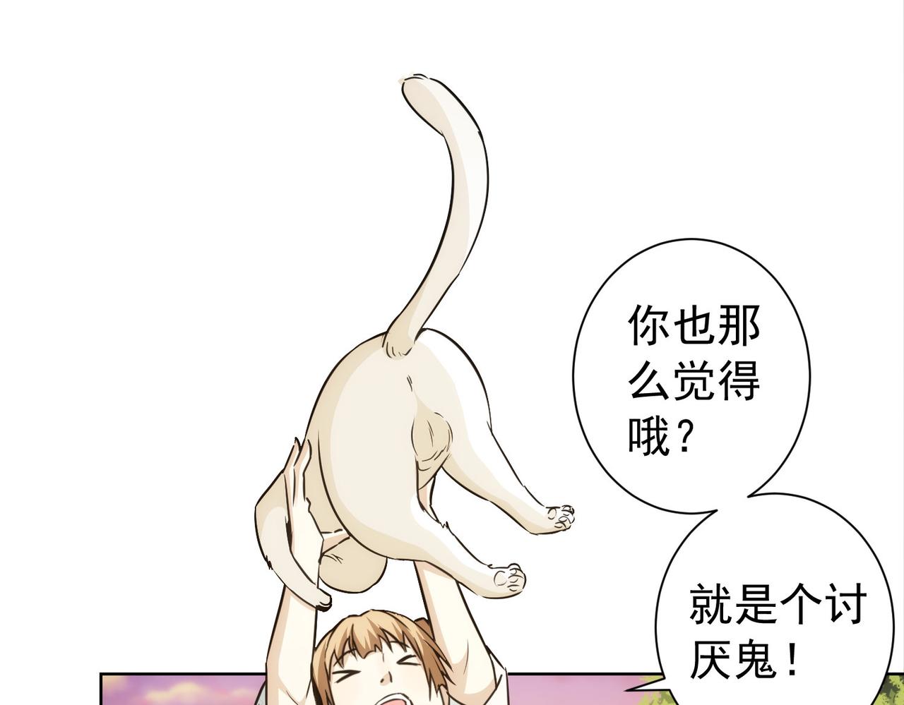 第168话 命运的礼物78