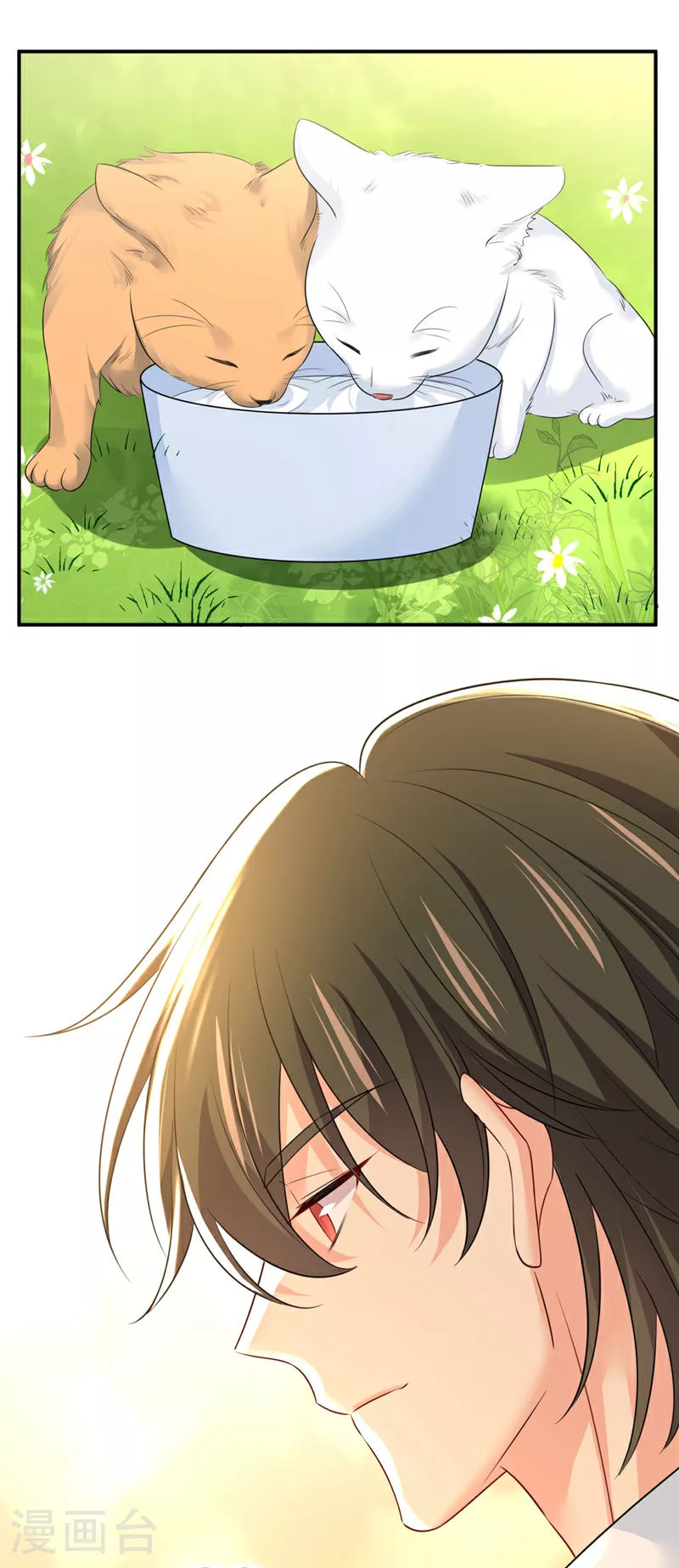 第621话 你居然会养猫？2