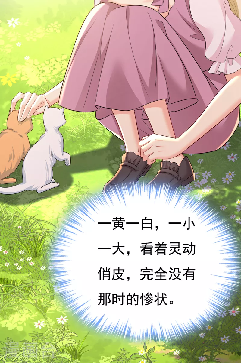 第621话 你居然会养猫？12