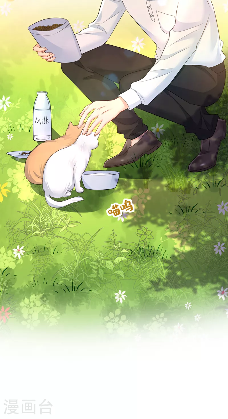 第621话 你居然会养猫？4