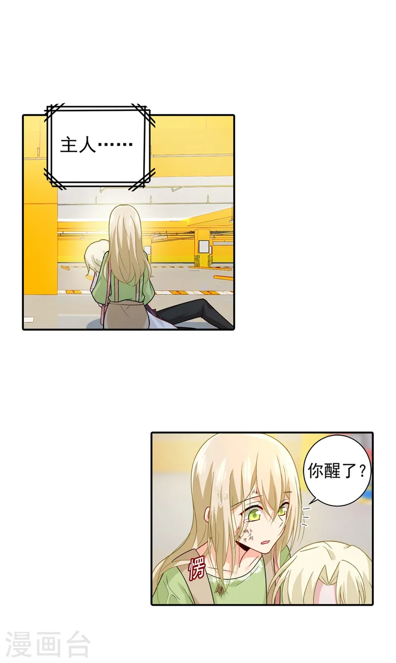 第272话 时小念歇斯底里1