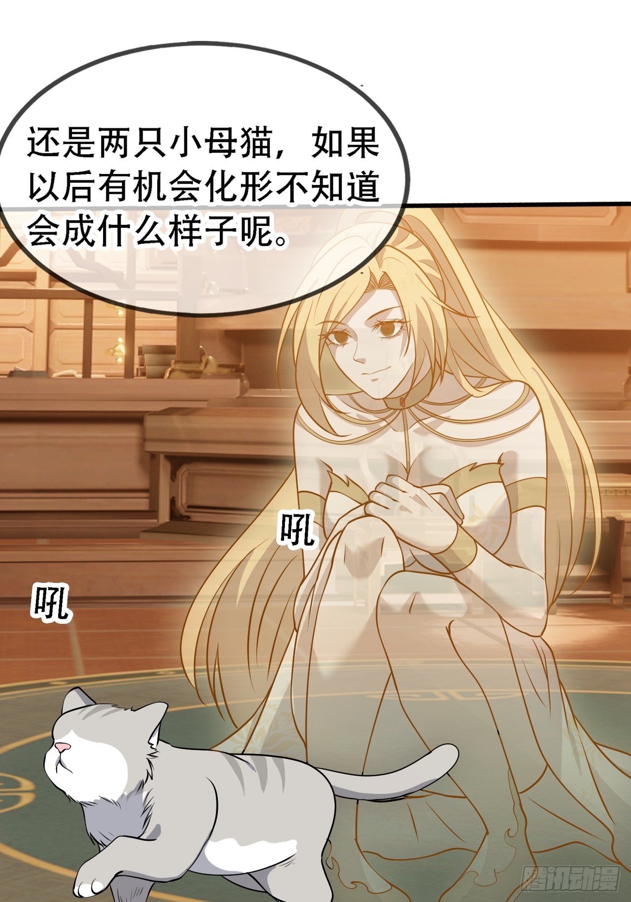 第二十八话：猫咪与机缘12