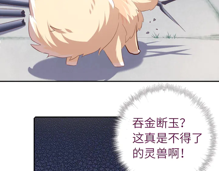 第223话 微妙的态度17